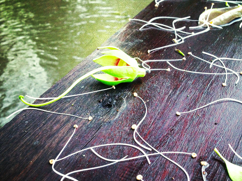 Baan Siriporn Resort Samut Songkhram Buitenkant foto